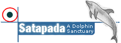 Satapada, A Dolphin Sanctuary near Puri