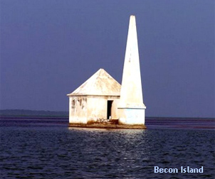 Becon Island in Chilika Lake