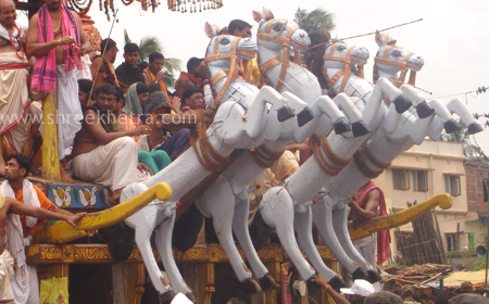 Horeses of Lord Jagannath's Chariot