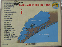 Chilika Tourist Information Banner 1