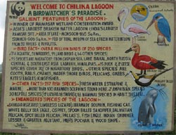 Chilika Tourist Information Banner 2
