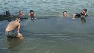 Servitors are taking out the boats