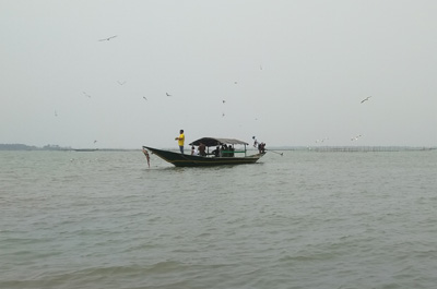 Chilika Lake